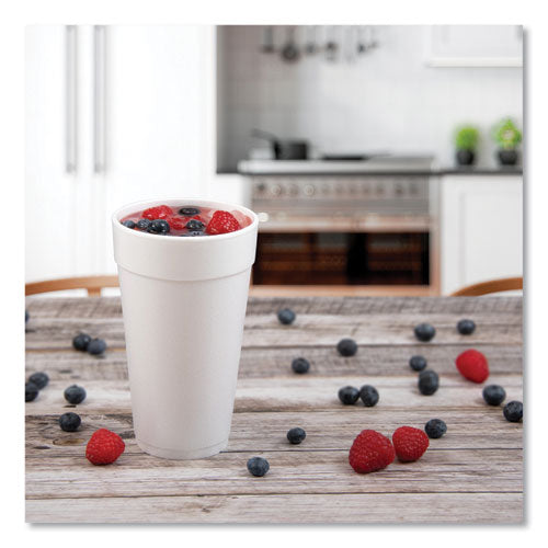 20oz 20J16 Dart Foam Drink Cups, White, 500/cs
