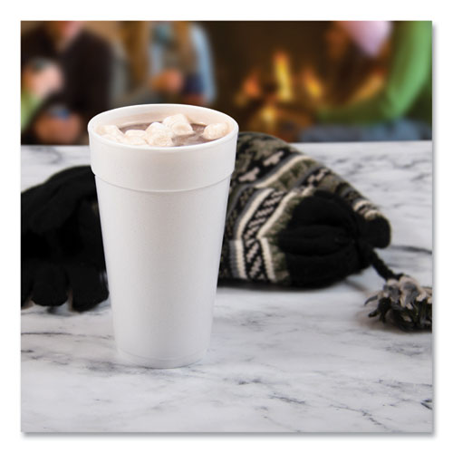 20oz 20J16 Dart Foam Drink Cups, White, 500/cs