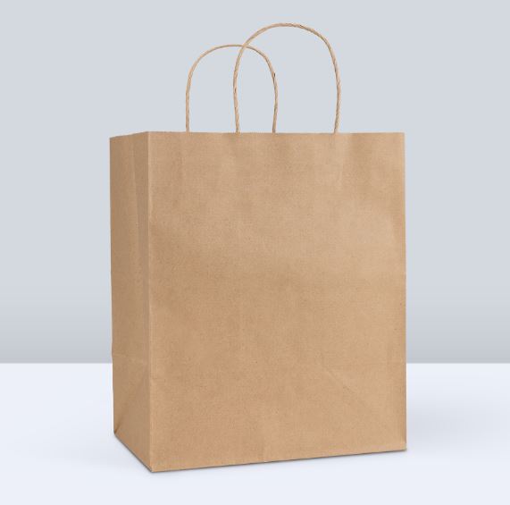 60# IBS Reddi-2-Go Twist Handle Paper Shopping Bag 10x6.75x12 Kraft 250/cs