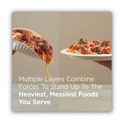 Dixie Pathways Soak Proof Shield Heavyweight Paper Plates, WiseSize, 10.13" dia, Green/Burgundy, 500/Carton