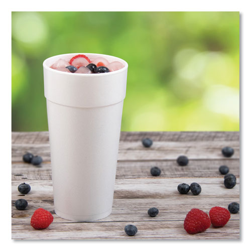 24oz 24J16 DART Foam Drink Cups, Hot/cold, White, 500/cs
