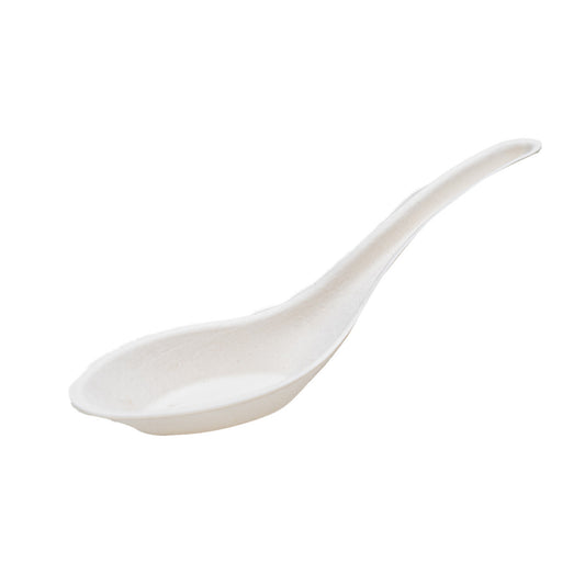 Chinese Soup Spoon Plastic 1000/cs